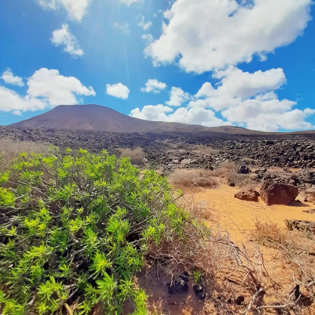 דירות Casa Alma Corralejo Bristol מראה חיצוני תמונה
